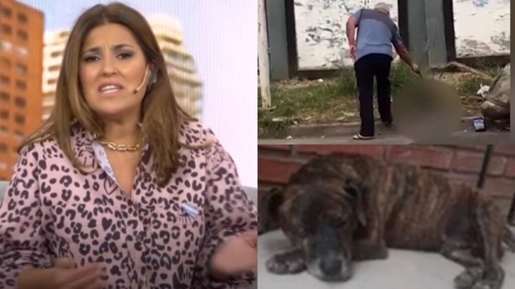 Maju Lozano, furiosa por el video del hombre que mató a un perro con cuatro tiros: "Qué sor…"