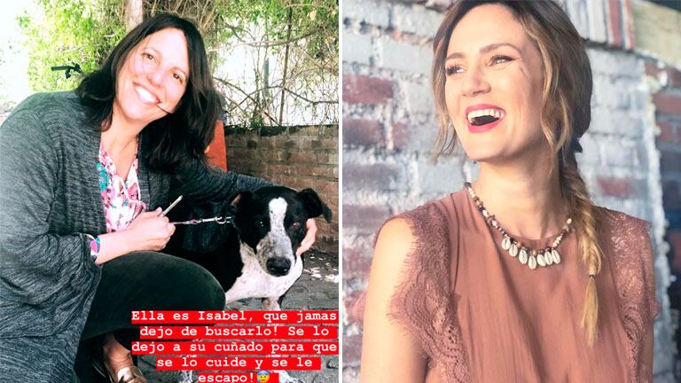 Paula Chaves facilitó el reencuentro de un perro con su ama tras un año y medio de perdido