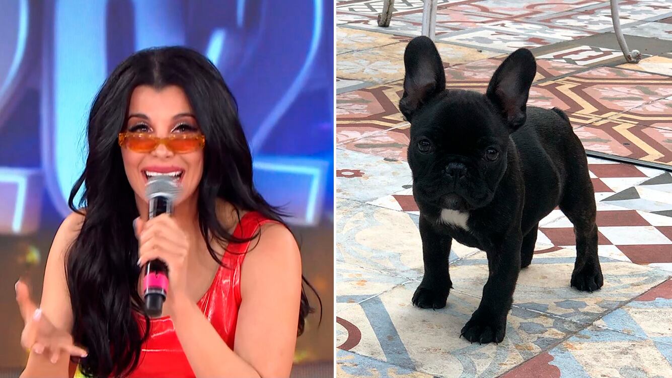La insólita frase de Charlotte: "Mi mamá dice que abandono a todos los perros por eso quiero tener un solo hijo"
