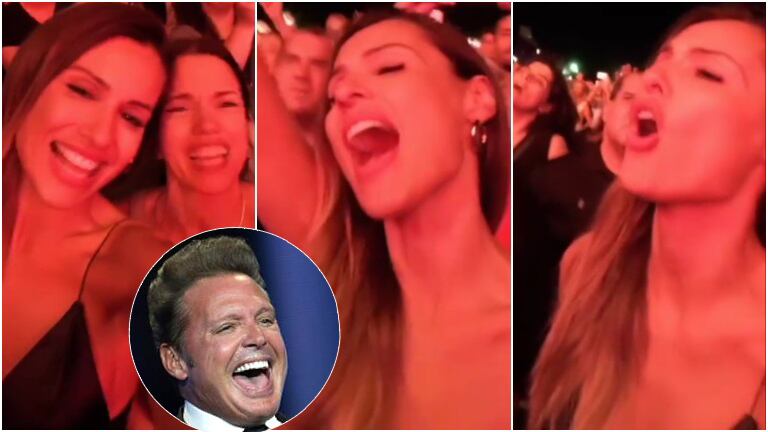 Pampita, una fanática suelta en el recital de Luis Miguel