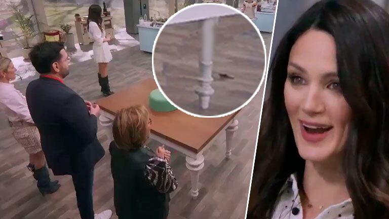 ¡Polémica! El video que alertó a los fans de Bake Off, quienes convirtieron en tendencia la aparente aparición de roedor en el programa