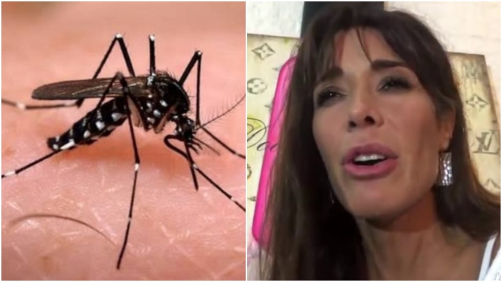 Laura Fidalgo dio detalles en Intrusos de cómo fue atravesar el dengue