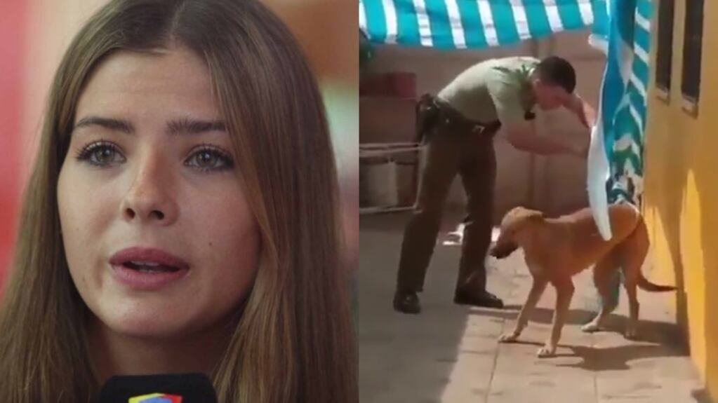 El video de un rescate a un perro que emocionó a la China Suárez