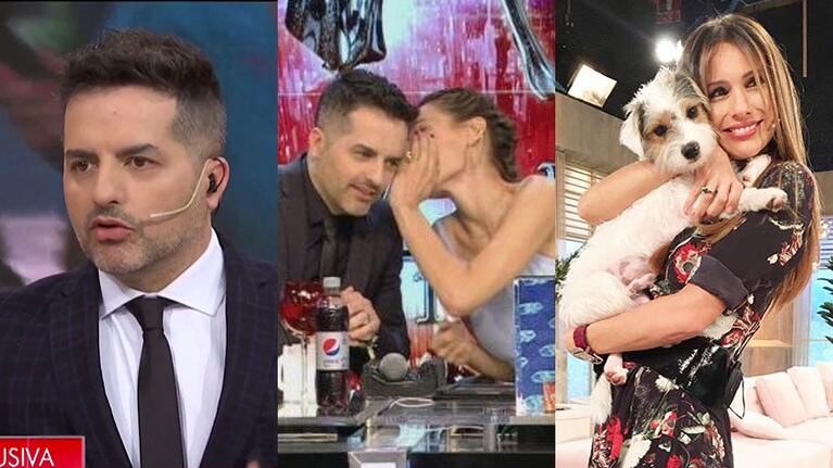 Ángel de Brito deschavó ¡picante! a Pampita: "Se hace la divina y ella me contó que no le gustan los perros"
