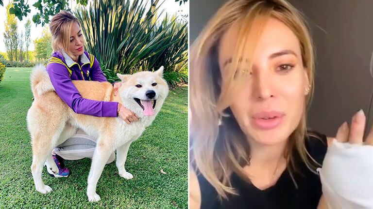 Jésica Cirio reveló que tuvo un incidente con una de sus perras