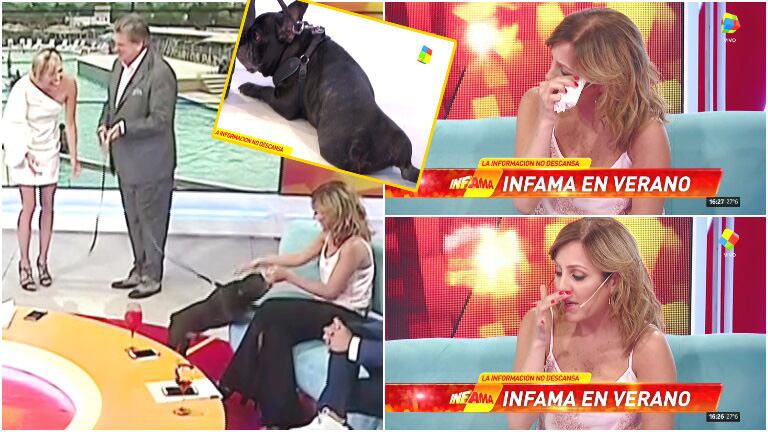 982088_corallanto