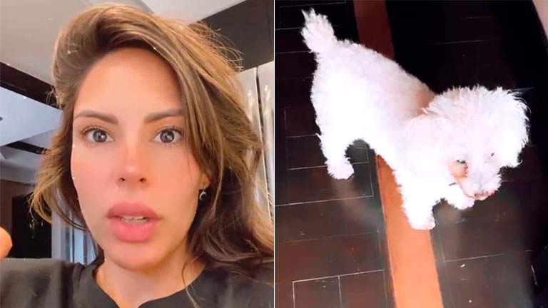 Barby Franco se mostró muy agradecida con las personas que hallaron a su perrita