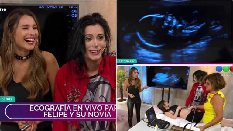 Le hicieron una ecografía en vivo a la novia de Felipe Pettinato en Pampita Online: "No es 100% seguro, pero lo veo más femenino"