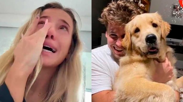 El desgarrador llanto de Zoe Bogach por la muerte de la perra de su ex Manuel Ibero de Gran Hermano