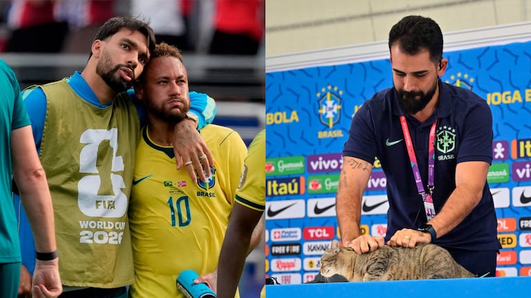 En Brasil culpan a la “maldición del gato” tras la eliminación del Mundial: escalofriantes datos