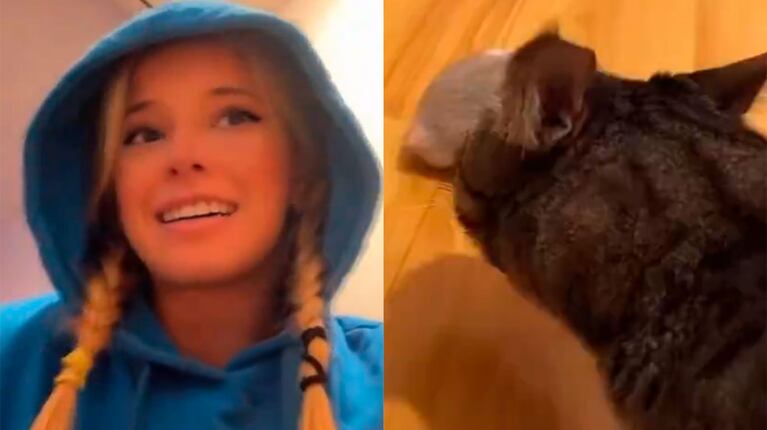 Zoe Bogach de Gran Hermano le presentó a su gata el hámster que se compró y vivió una terrible situación