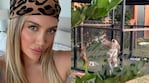  Los vecinos de Wanda Nara la habrían denunciado por abandonar dos perros: las imágenes