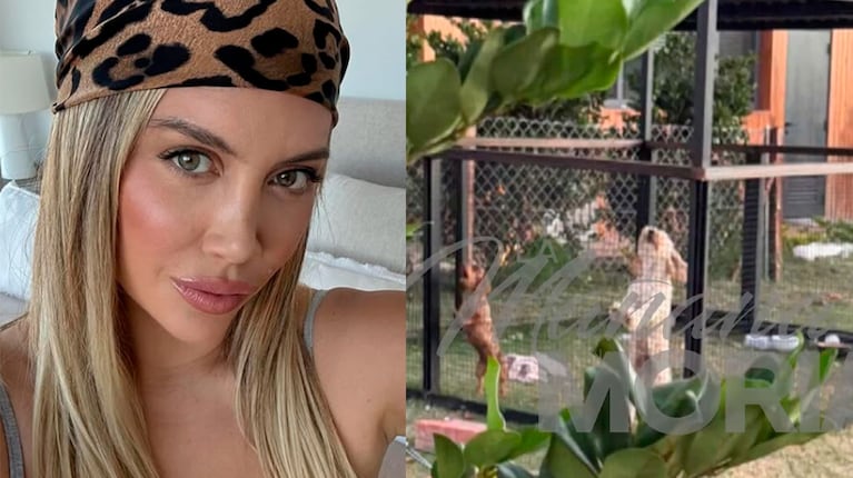 Vecinos habrían denunciado a Wanda Nara por abandonar a dos perros: las imágenes que generaron escándalo