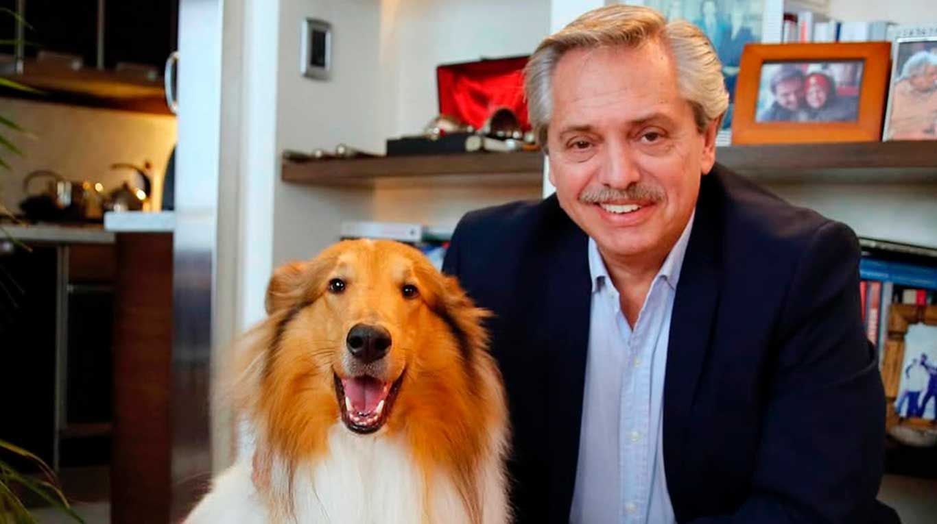 La despedida del expresidente Alberto Fernández a su perro Dylan