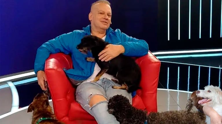 La triste historia de Tony, el perrito discapacitado de Leandro Rud que todavía espera una familia
