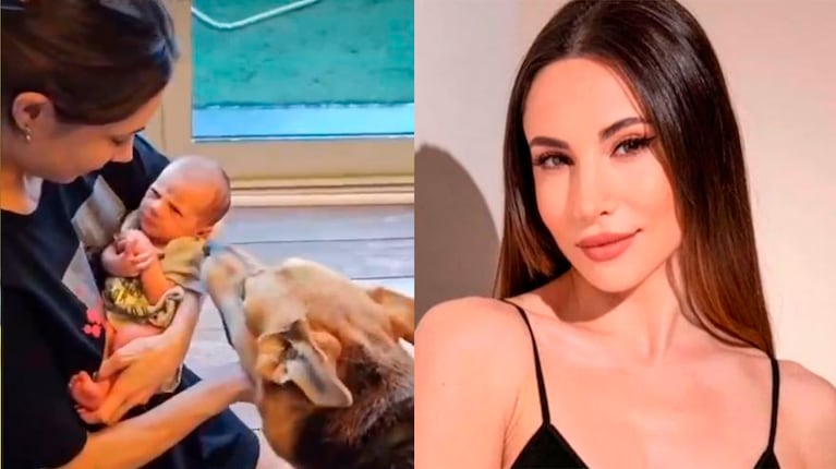 Magui Bravi mostró el emotivo momento en el que su bebé Galileo conoció a su perro: “Despacito”
