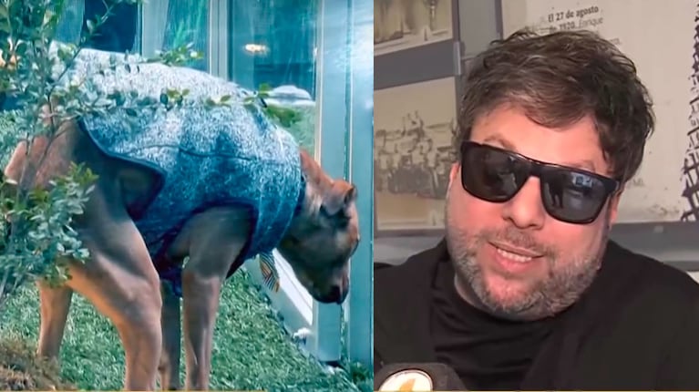 Guido Kazcka reaccionó a las críticas por los perros en Buenas Noches Familia: “Me hago cargo”
