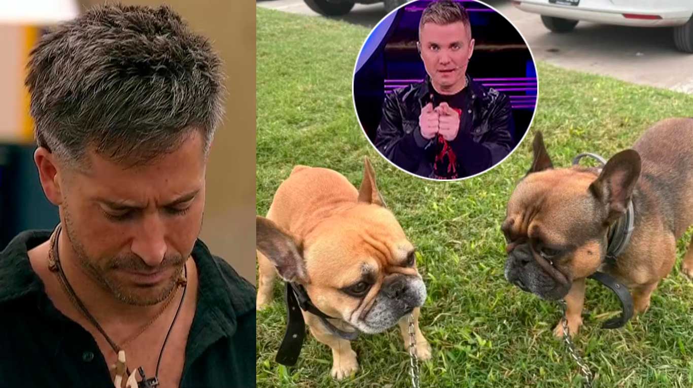 Santiago del Moro explicó por qué los perros Jaime y Bartolo podrían dejar la casa de Gran Hermano