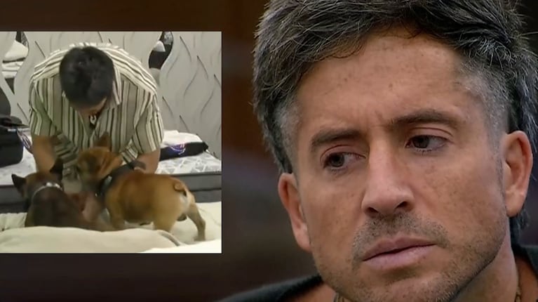 Qué les pasó a los perros de Juan Pablo tras ingresar a Gran Hermano: la preocupación del participante