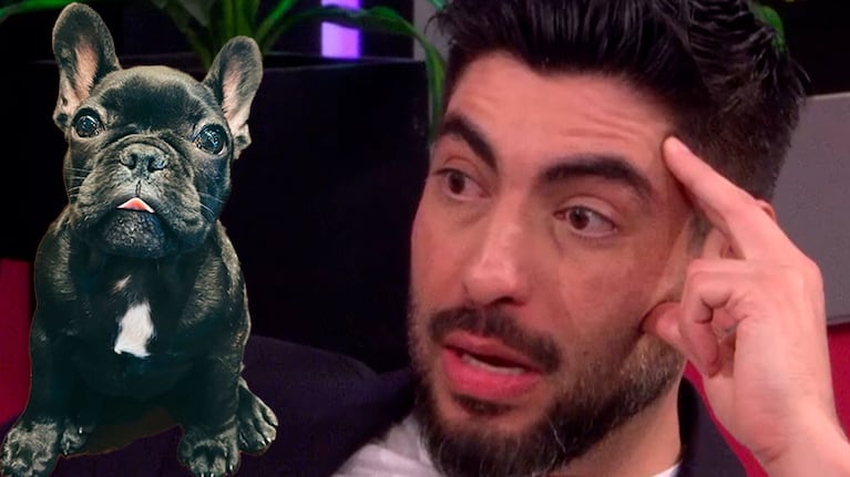 La polémica declaración de Facundo Moyano sobre el perrito de Candela Arizaga: “Dijeron que tomó...”