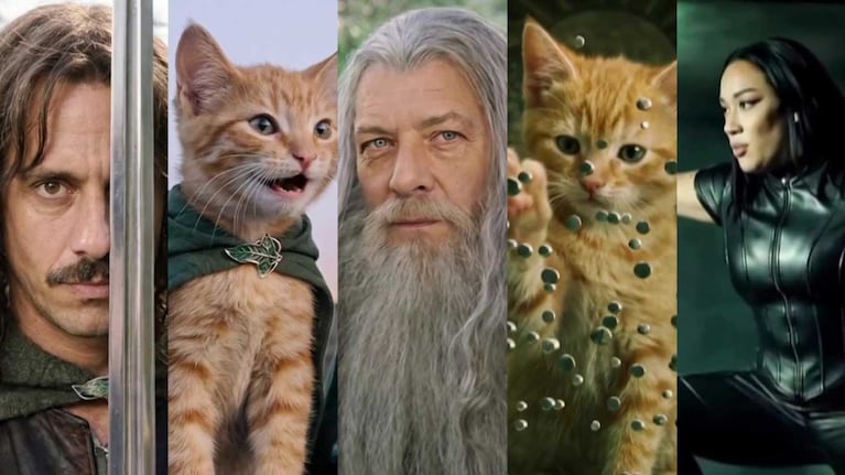 Pergolini parodió El Señor de los Anillos y Matrix con “El Señor de los Gatitos” y “The Gatrix”