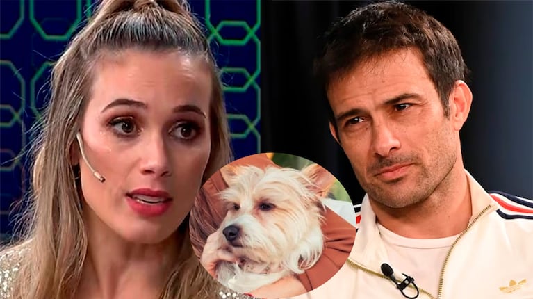 Darío Cvitanich reveló la verdad sobre el escándalo con Chechu Bonelli por la tenencia de su perra Frida