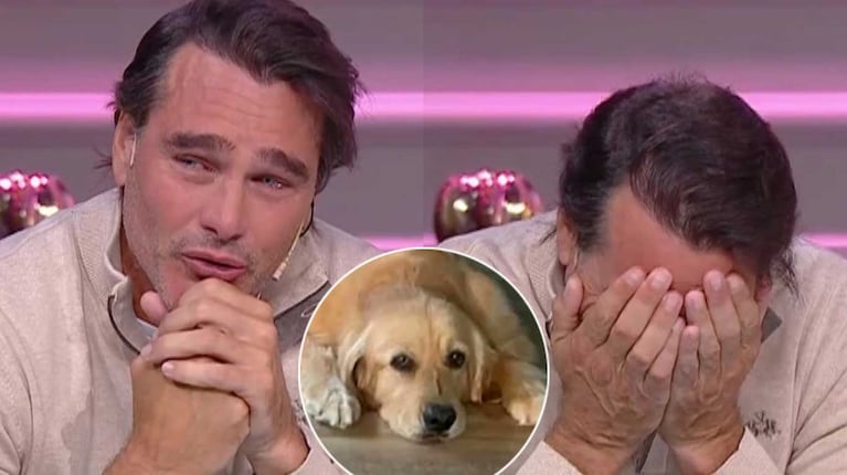El desgarrador llanto de Hernán Drago al recordar a su perro, que murió horas antes: ”Sabemos que es injusto"