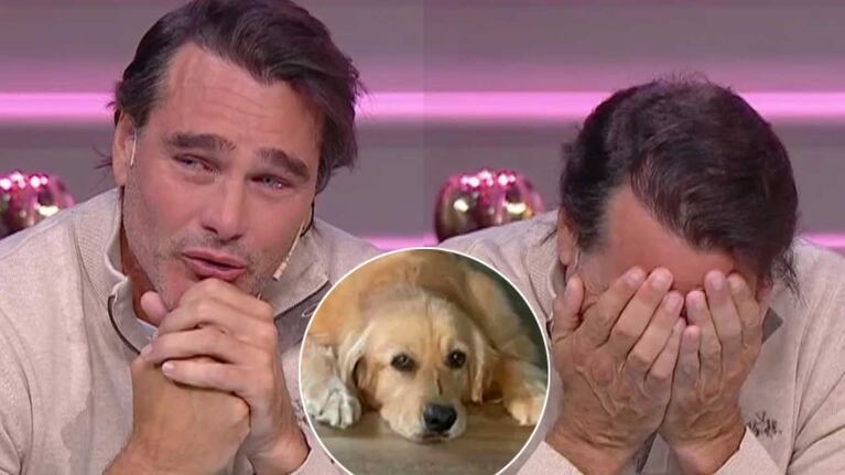 El desgarrador llanto de Hernán Drago al recordar a su perro, que murió horas antes: ”Sabemos que es injusto"