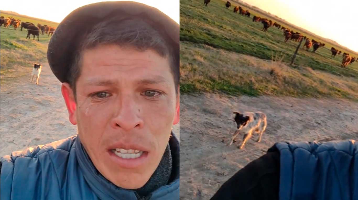 El peón rural que se despidió de su trabajo a pura lágrima y acompañado solo de su perro