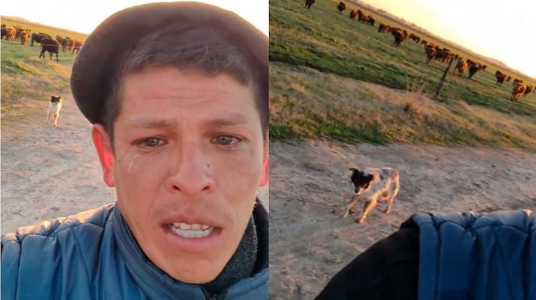 La desgarradora despedida de un peón rural: solo su perro lo acompañó