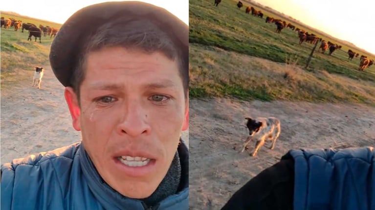 La desgarradora despedida de un peón rural: solo su perro lo acompañó