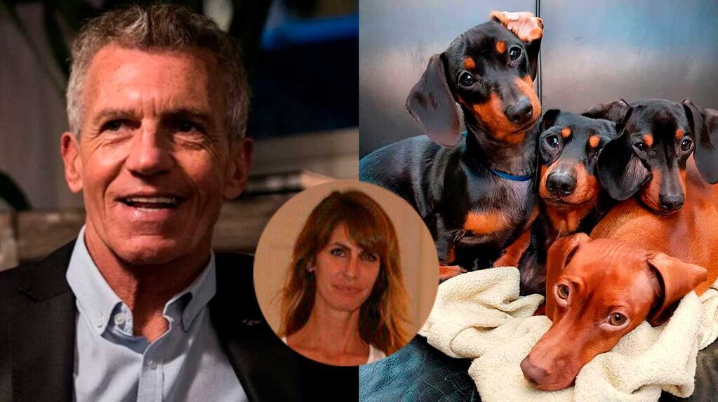 Dolores Moreno reveló cómo evolucionó Helena, la perrita salchicha de Ricardo Piñeiro