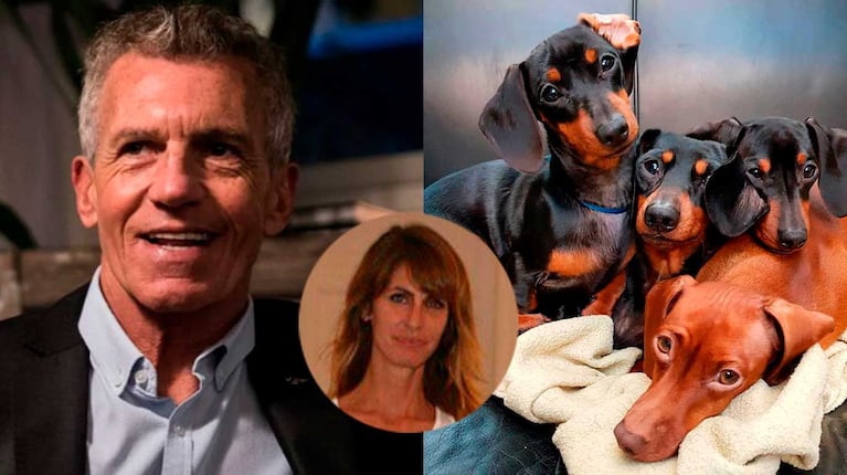 Dolores Moreno reveló cómo está Helena, la perrita de Ricardo Piñeiro que sufrió un ACV: “Gracias a todos”