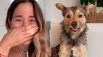 Jimena Barón se convirtió en abuela: nació la camada de su perrita Lucy y mostró los videos