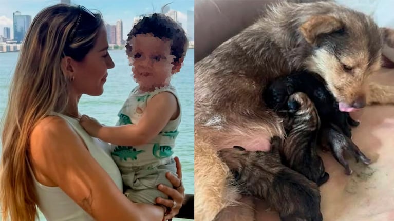 El insólito encuentro de Arturo con los cachorros de Lucy: la reacción que descolocó a Jimena Barón