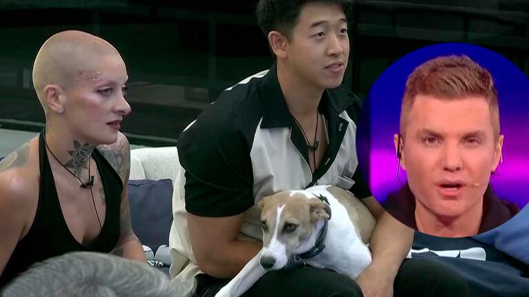 Qué resolvió Gran Hermano sobre el perro Arturo tras la advertencia legal de los proteccionistas
