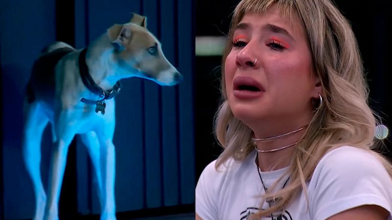 Gran Hermano 2023: la reacción de Paloma Méndez ante el ingreso de Arturo a la casa se convirtió en meme