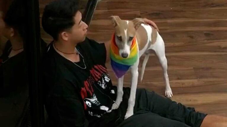 Gran Hermano: cometieron otro descuido con el perro Arturo y ahora está con problemas de salud