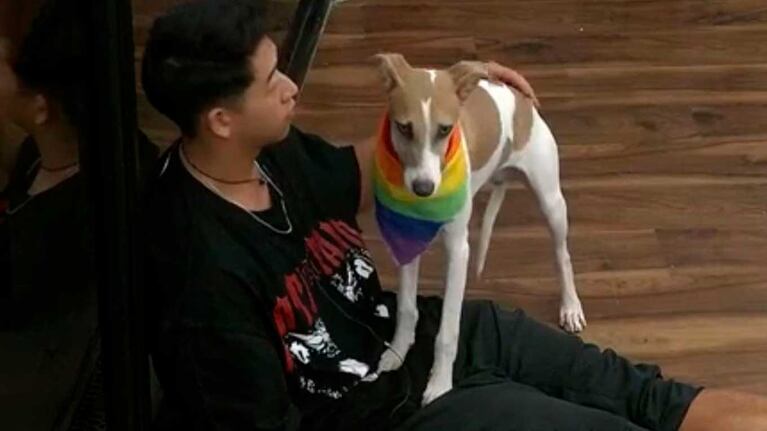 Gran Hermano: cometieron otro descuido con el perro Arturo y ahora está con problemas de salud