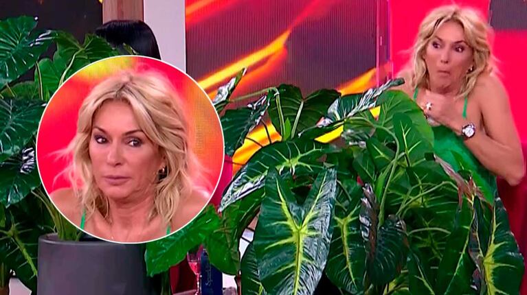 Por qué Yanina Latorre hizo LAM detrás de una planta