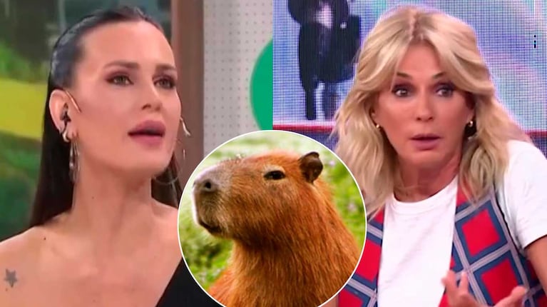 Yanina Latorre defendió a los carpinchos y fulminó a Natalie Weber