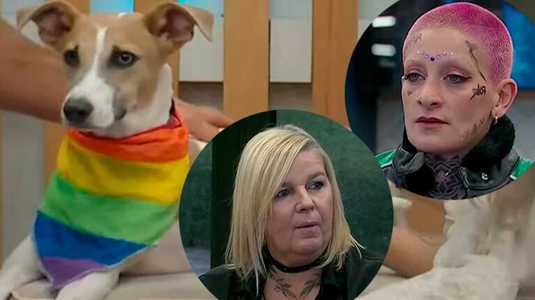 Virginia reveló qué nueva falta cometió Furia contra el perro Arturo en Gran Hermano