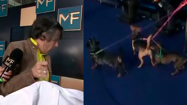 Uno de los perros de Robertito Funes dejó “un regalito” en la alfombra azul de los Martín Fierro: el video