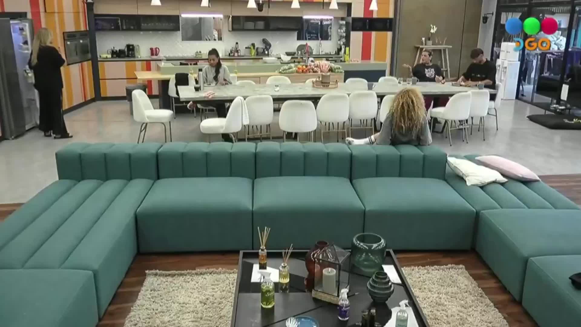 Por qué la galga Paris tuvo que salir de la casa de Gran Hermano: video