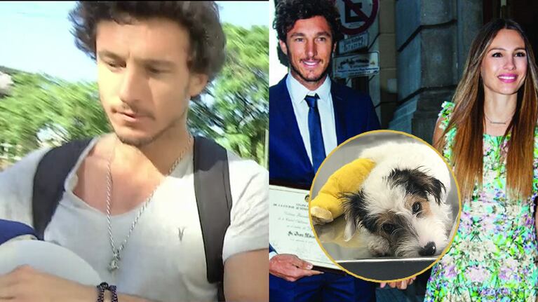 La reacción de Pico Mónaco cuando le preguntaron si su perro fue el causante de la crisis con Pampita: "¡Pobrecito, Osvaldo! ¿Qué tiene que ver?"