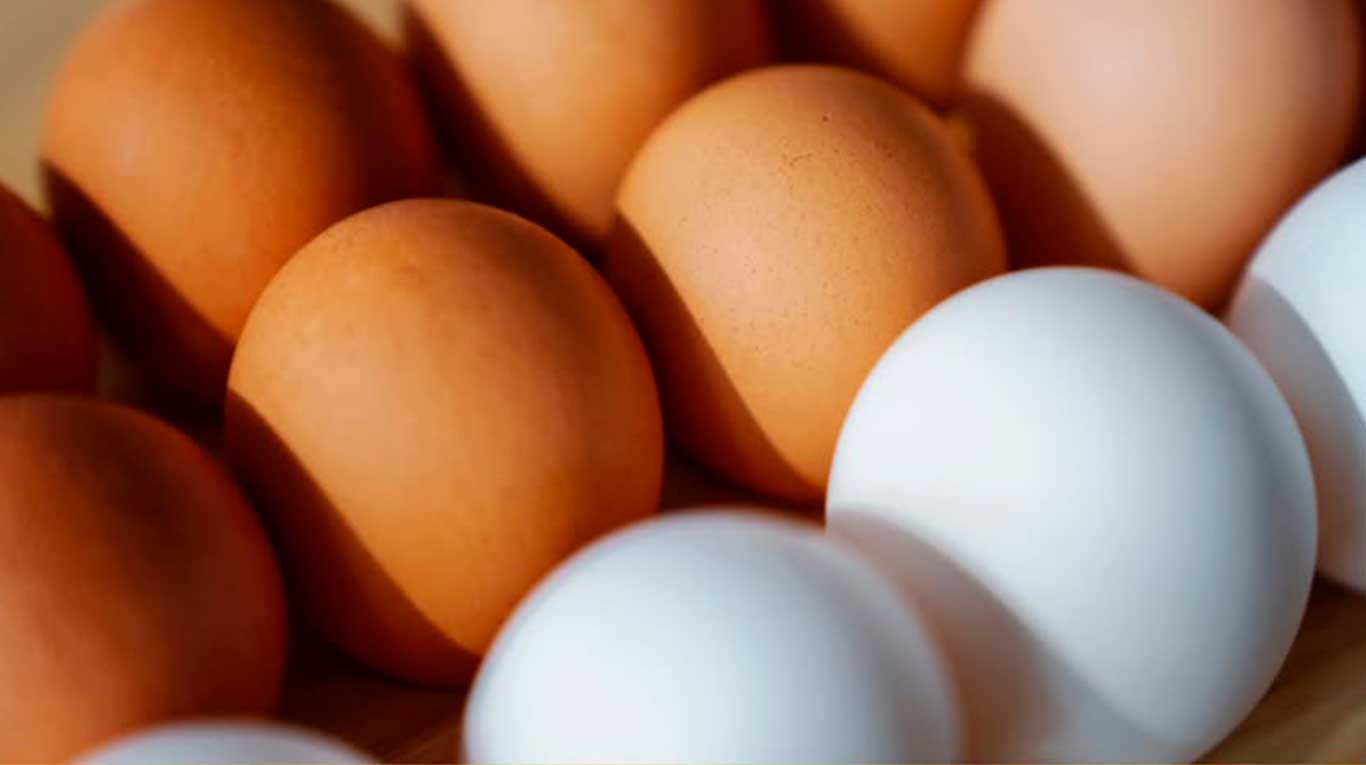 Huevos blancos y marrones (Foto: Instagram)