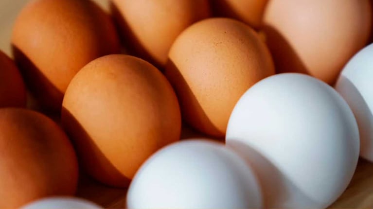 Huevos blancos y marrones (Foto: Instagram)