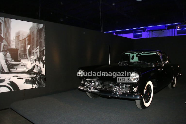 Íconos sobre ruedas (Foto: Movilpress).