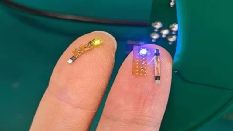 Implantes cerebrales para mejorar la experiencia en juegos: los detalles del novedoso desafío de Valve