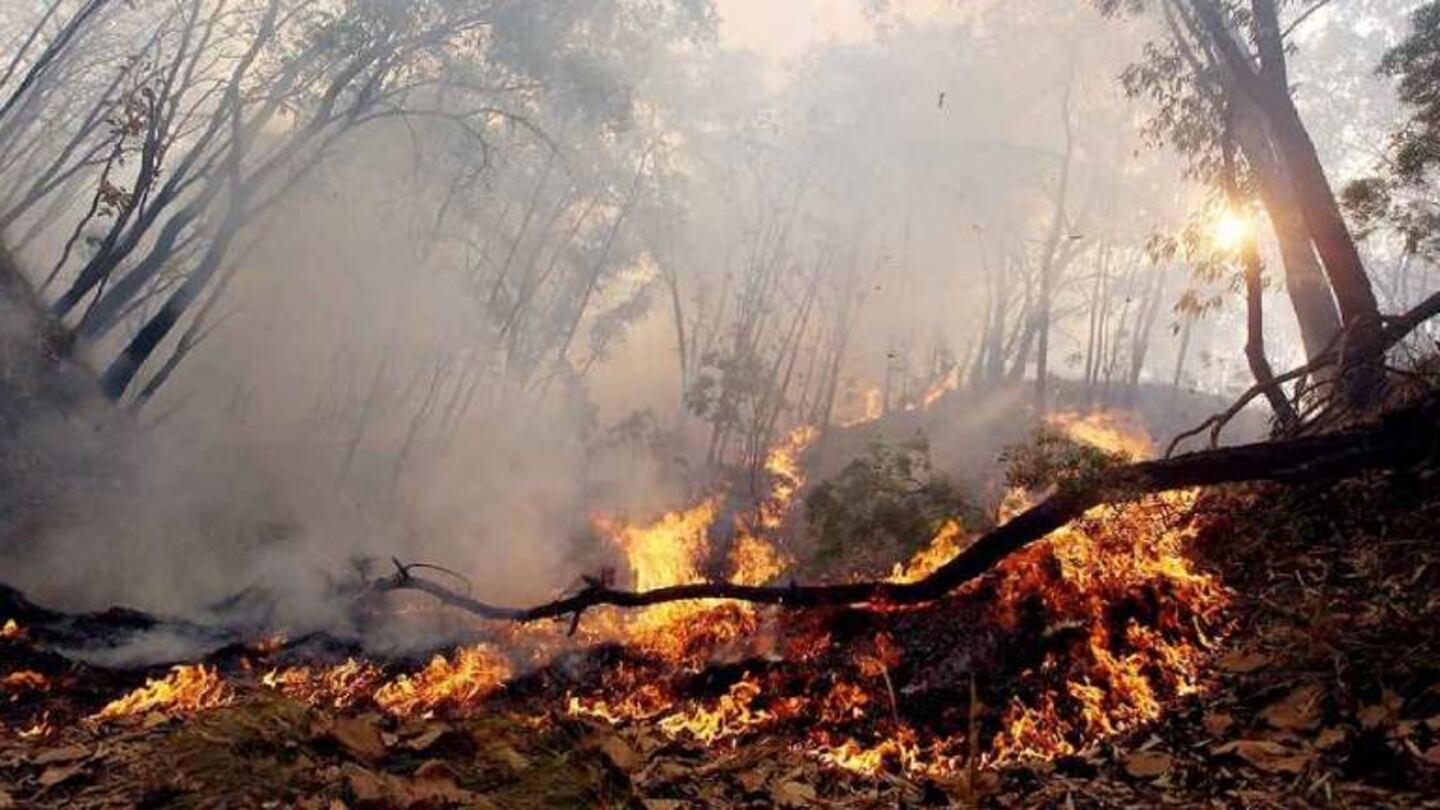 Incendios y huracanes: la predicción de la NASA que preocupa